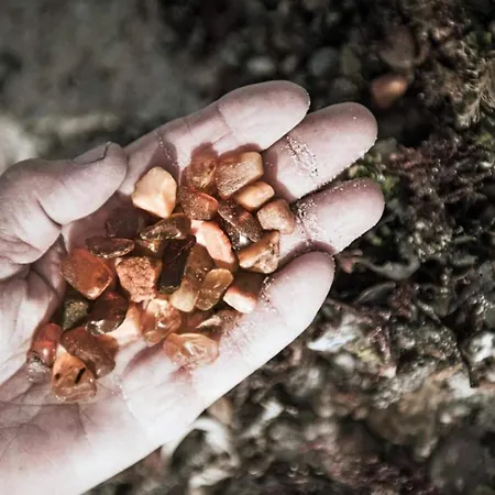 Hébergement de vacances 4 Star In