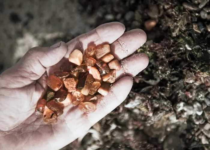 Дом отдыха 4 Star In